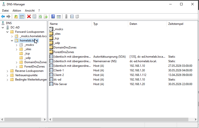 DNS Forward Lookup Zone